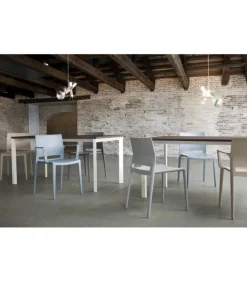 Clearance GABER BAKHITA |