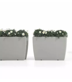 Fashion LYXO CASSETTA GAIA |