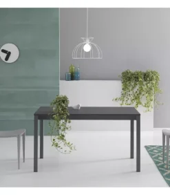 Hot POINT HOUSE JOLLY |