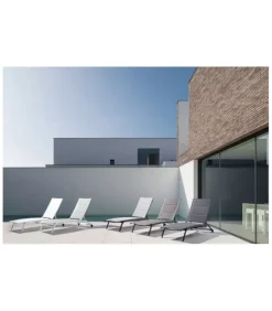 Hot CONTEMPORARY STYLE LETTINO C-RUOTE CLEOPAS TORTORA ZH12