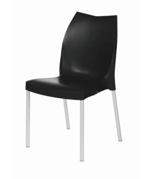 New GABER TULIP |