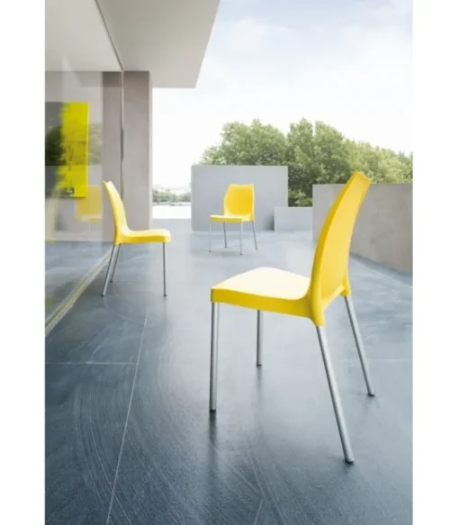 New GABER TULIP |
