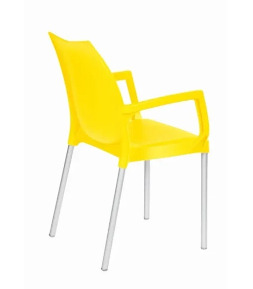 New GABER TULIP |