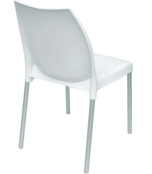 New GABER TULIP |
