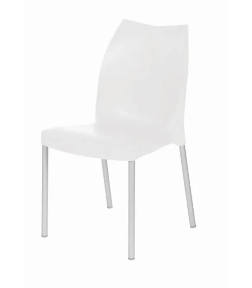 New GABER TULIP |